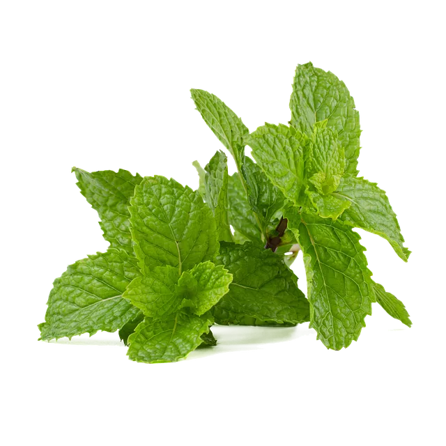 mint-flavored-cbd-tincture-640x480-26864075.png