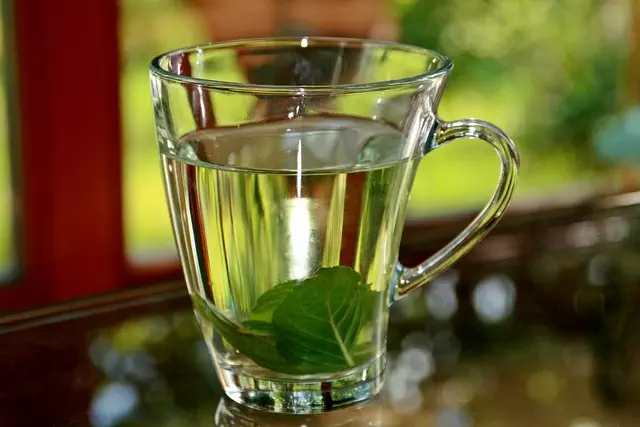 Mint Flavored CBD Tincture