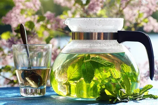 Mint Flavored CBD Tincture