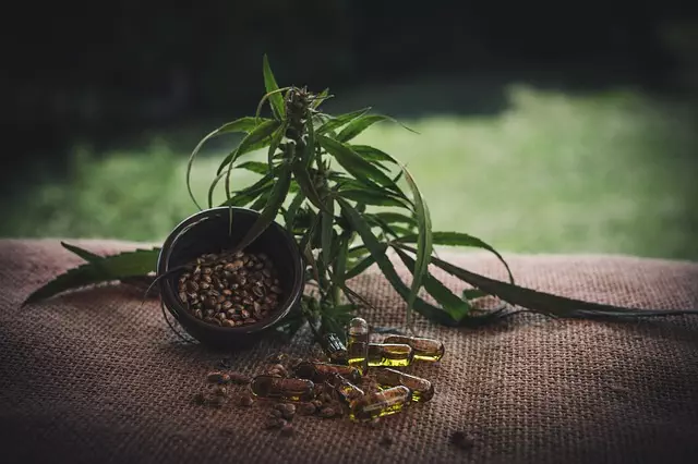 Mint Flavored CBD Tincture