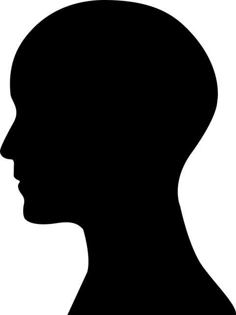 Terpene Profile Chart
