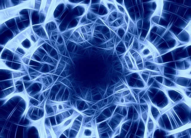 Understanding the Endocannabinoid System