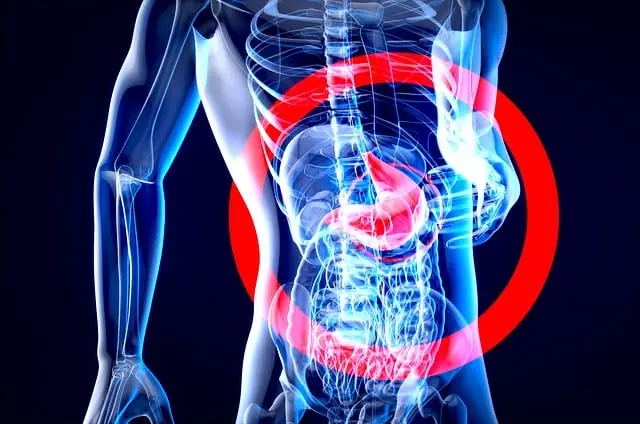 Understanding the Endocannabinoid System