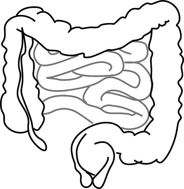 Abdominal CoolSculpting
