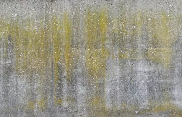 Affordable Concrete Foundation Repair