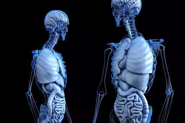 Body Sculpting Treatments