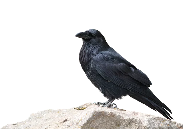 botox-for-crows-feet-and-smile-lines-640x480-14850431.png