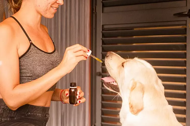 CBD Pain Relief Cream
