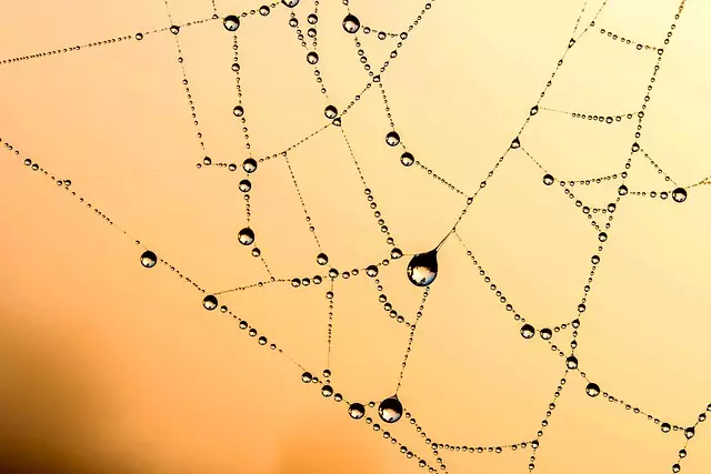 Core Web Vitals Optimization