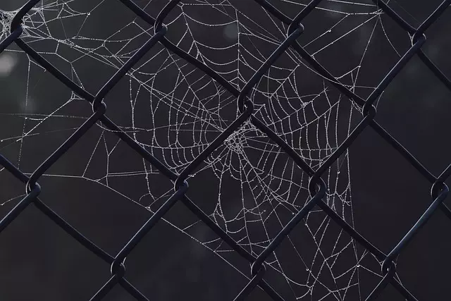 Core Web Vitals Optimization