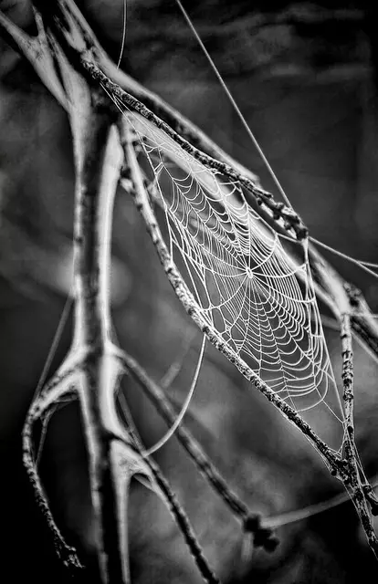 Core Web Vitals Optimization