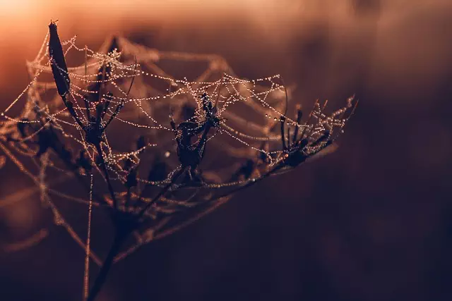 Core Web Vitals Optimization