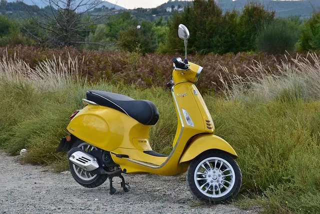 electric scooters for adults