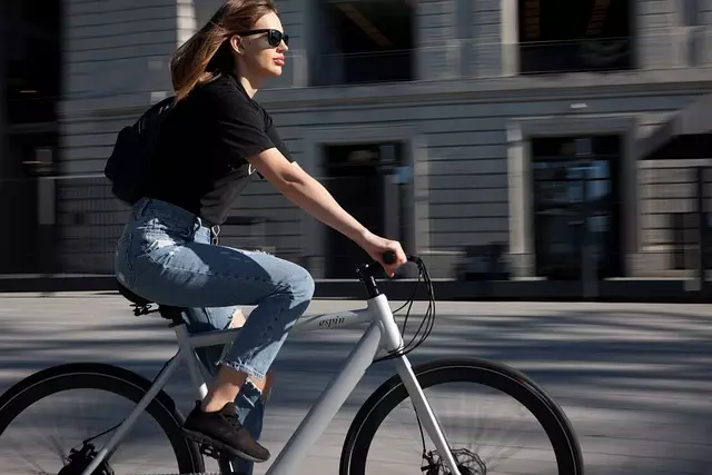 electric scooters for adults