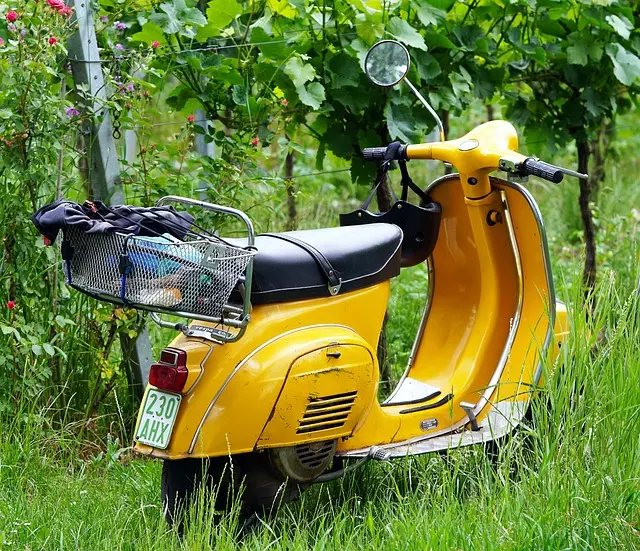 electric scooters for adults
