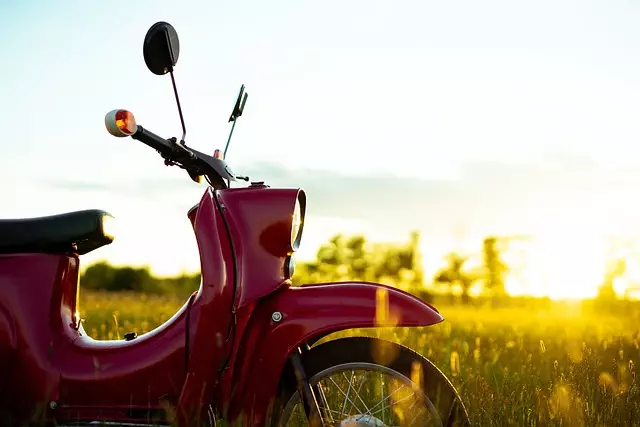 electric scooters for adults