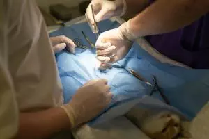 expert-botox-injections-640x480-3126889.jpeg