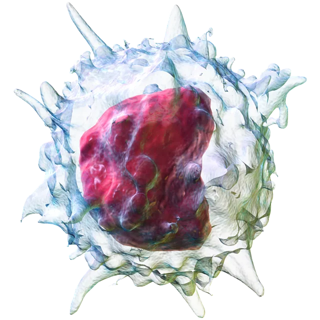 Fat Cell Freezing
