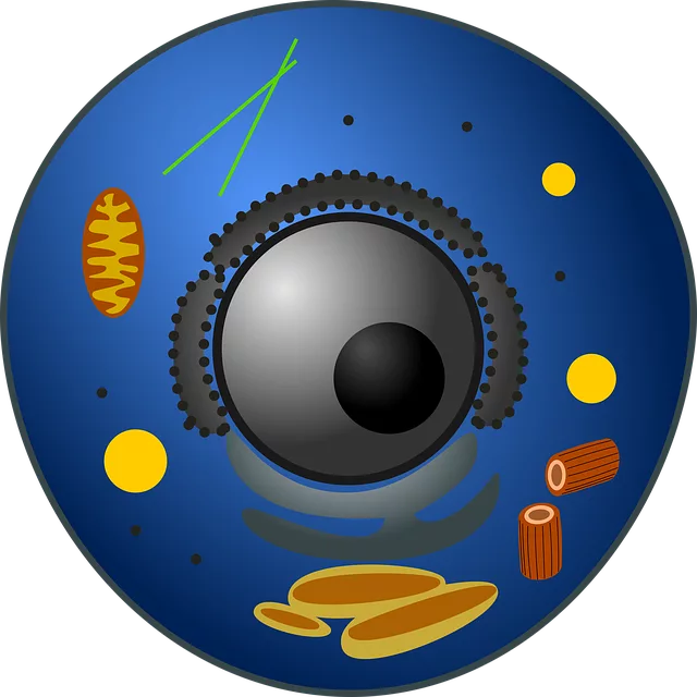 fat-cell-freezing-640x480-13885929.png