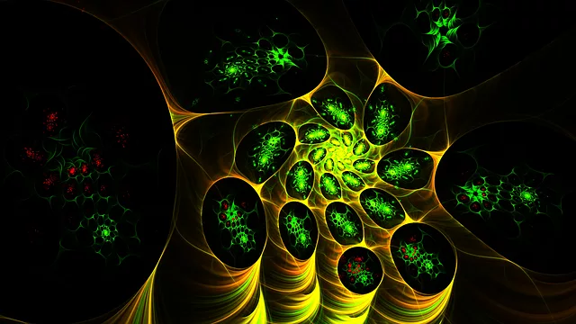 Freeze Fat Cells: Body Contouring Technology, Benefits & Safety Guide