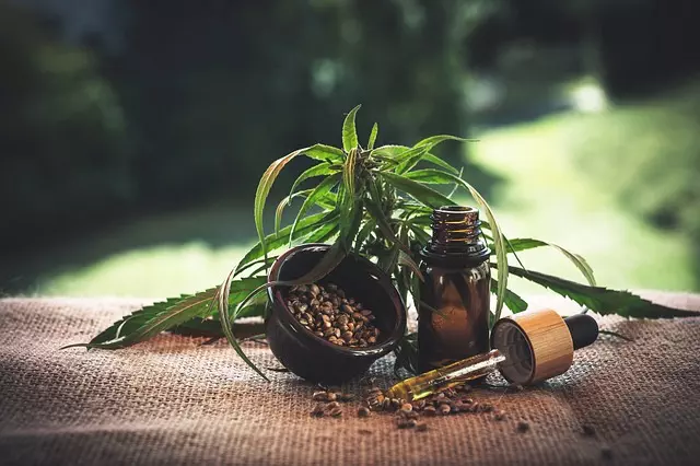 Full Spectrum CBD Gummies for Pain