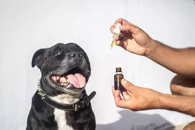 Full Spectrum Hemp Oil