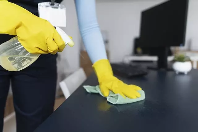Grout Cleaning