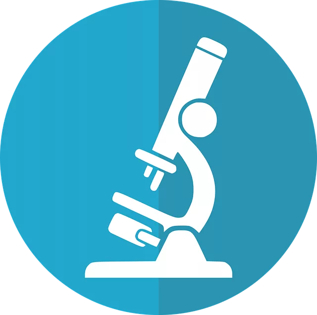 Keyword Research and Optimization