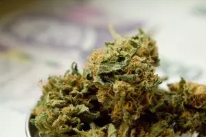 ko-blend-thc-disposable-640x480-27457307.jpeg