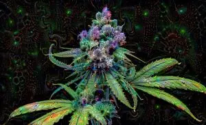 ko-blend-thc-vape-640x480-64977261.jpeg