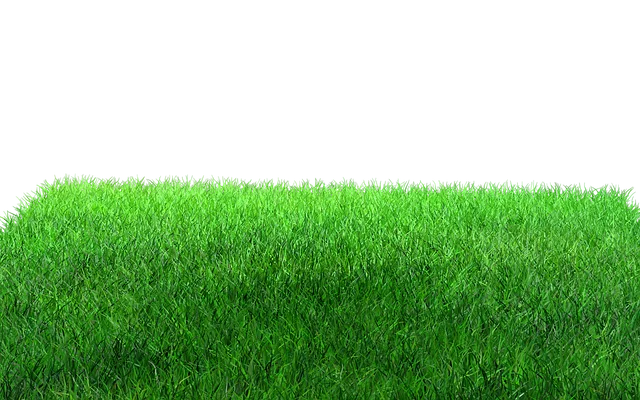 Lawn Care