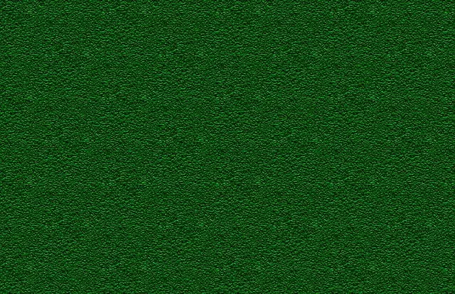 lawn-care-640x480-70169044.jpeg