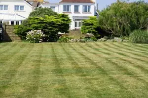 lawn-care-640x480-71885588.jpeg