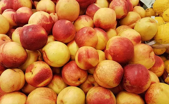 Local Food Delivery: Revitalizing Farms through Sustainable Meal Preparation