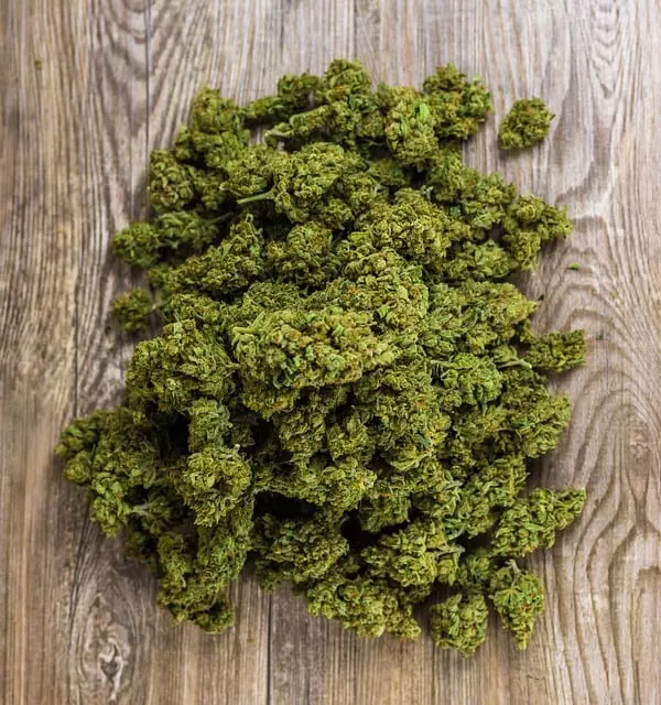 Mint Flavored CBD Tincture