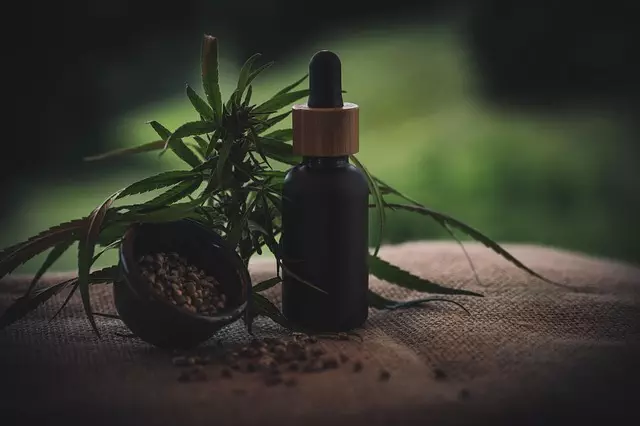 Mint Flavored CBD Tincture