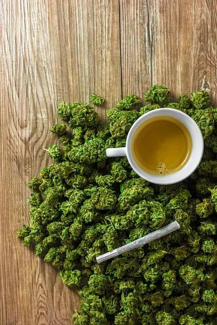 Mint Flavored CBD Tincture