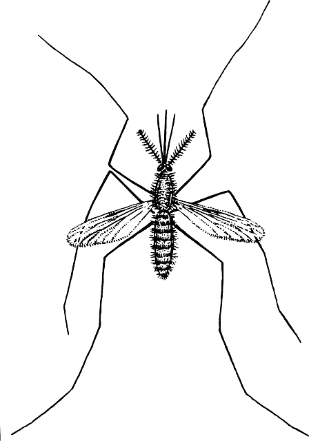 Mosquito Control