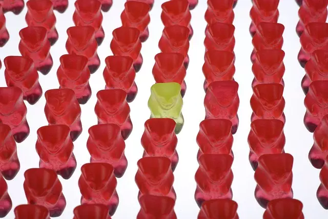Mushroom Gummies for Focus