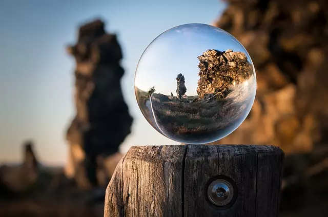 Mushroom Gummies for Focus