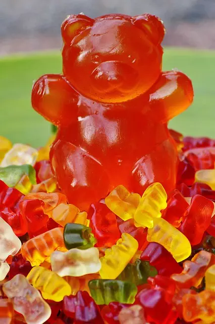 Mushroom Gummies for Focus