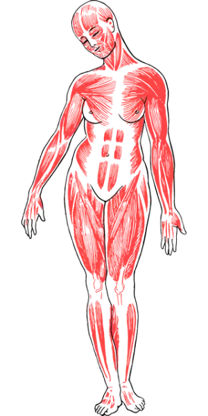 non-invasive-body-contouring-640x480-38746186.png