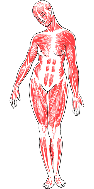 non-invasive-body-contouring-640x480-38746186.png