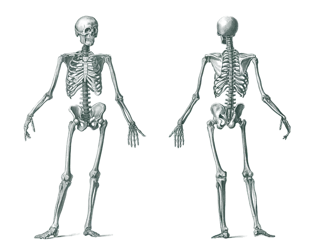 Non-Invasive Body Contouring