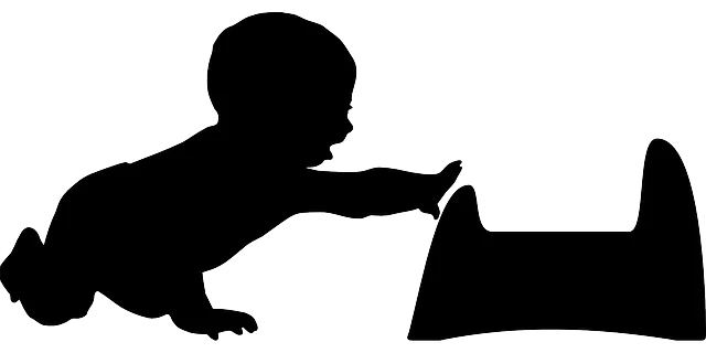 On-Page Optimization Training