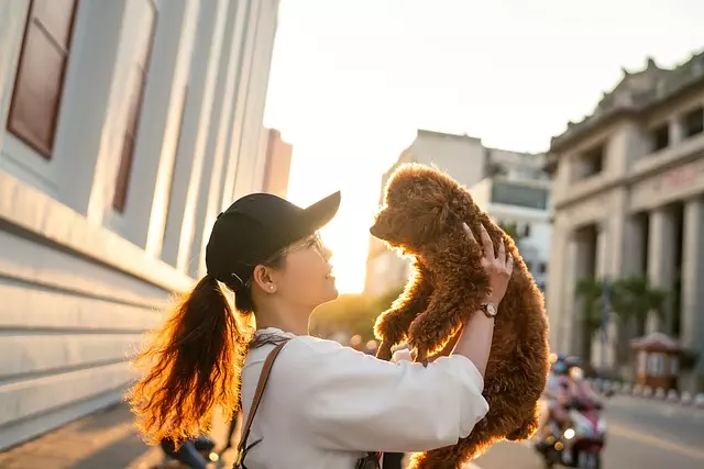 online pet marketplace