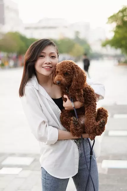online-pet-marketplace-640x480-7395793.jpeg