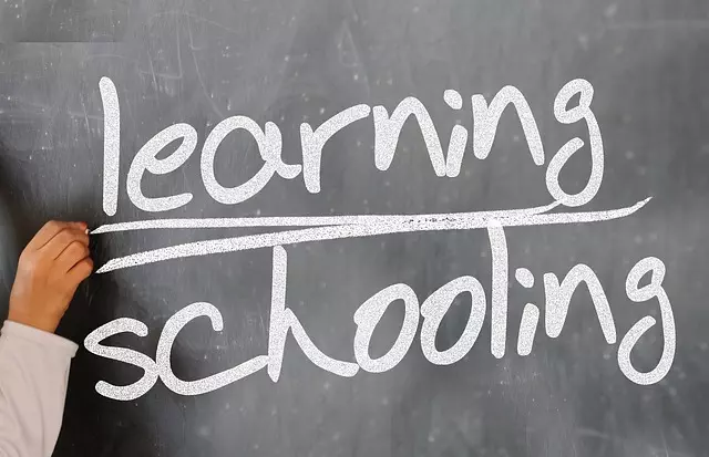 Online SEO Training