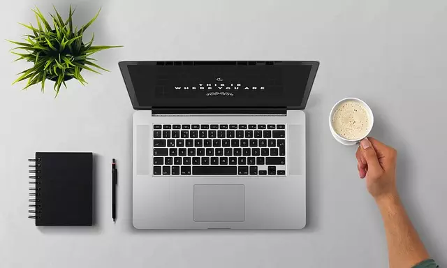 Online SEO Training