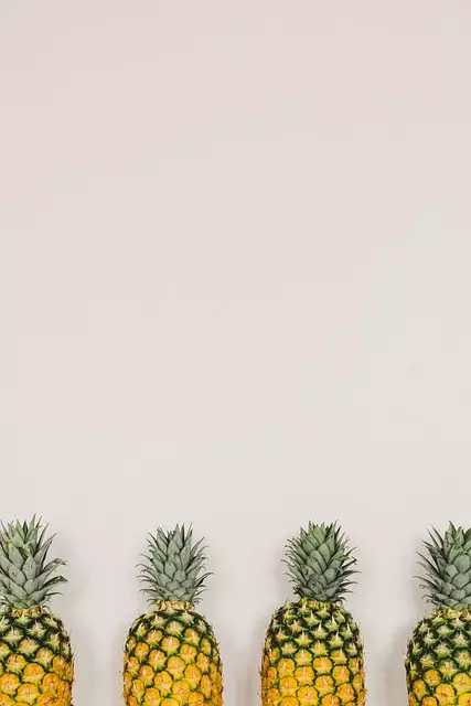 Organic Traffic